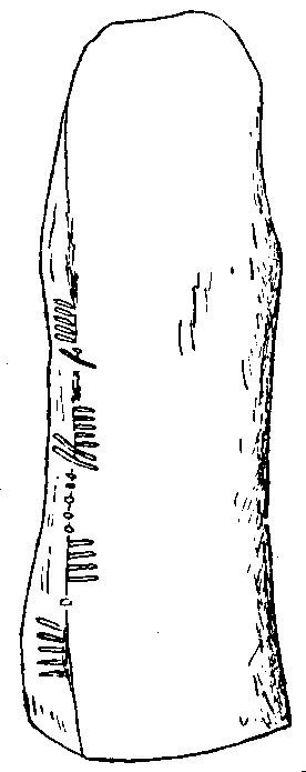 Fig. 006, w01 