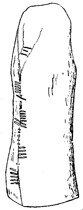 Fig. 006, w02 