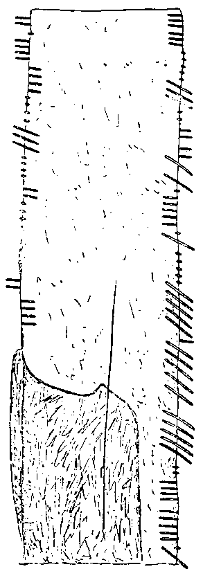 Fig. 010, w01 