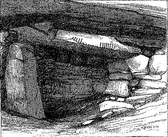 Fig. 012, w02 