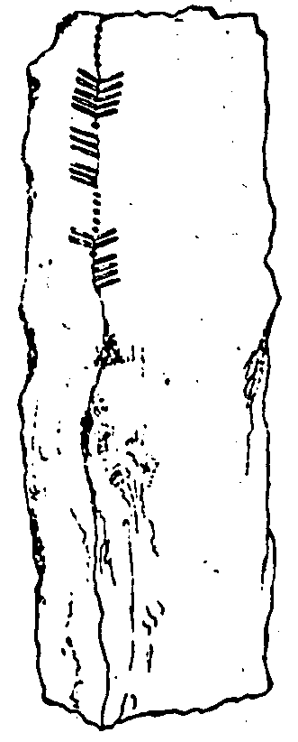 Fig. 056, w03 