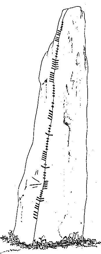 Fig. 057, w01 