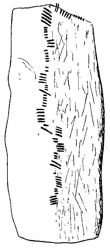Fig. 070, w02 
