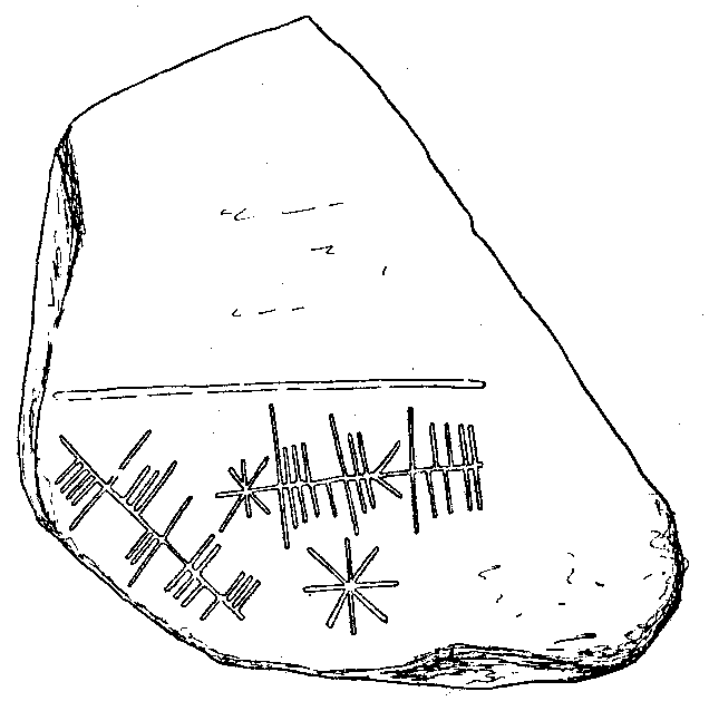 Fig. 072, w01 