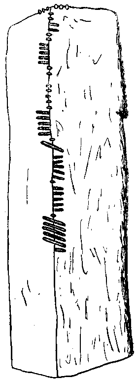 Fig. 088, w01 