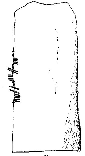 Fig. 095, w01 