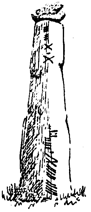 Fig. 104, w04 