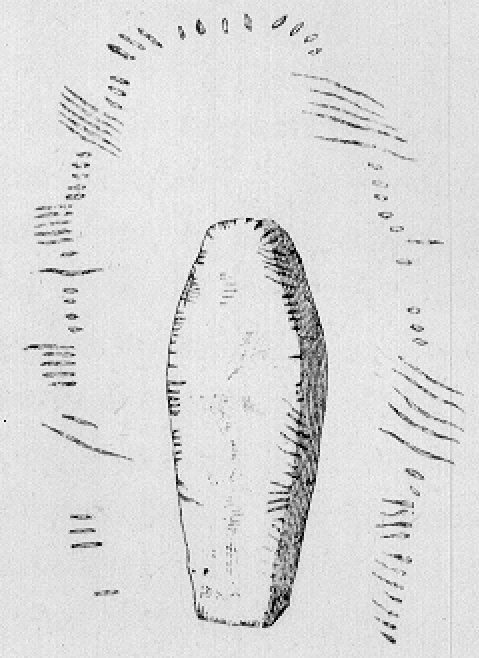 Fig. 106, w01 