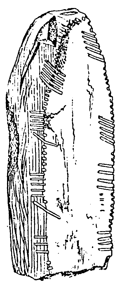 Fig. 106, w03 