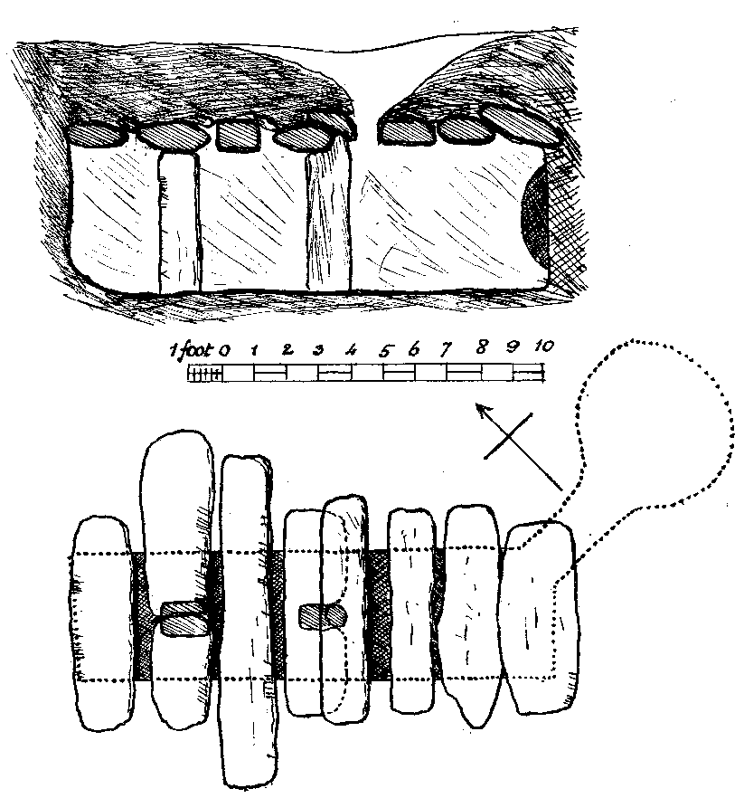 Fig. 112, w01 