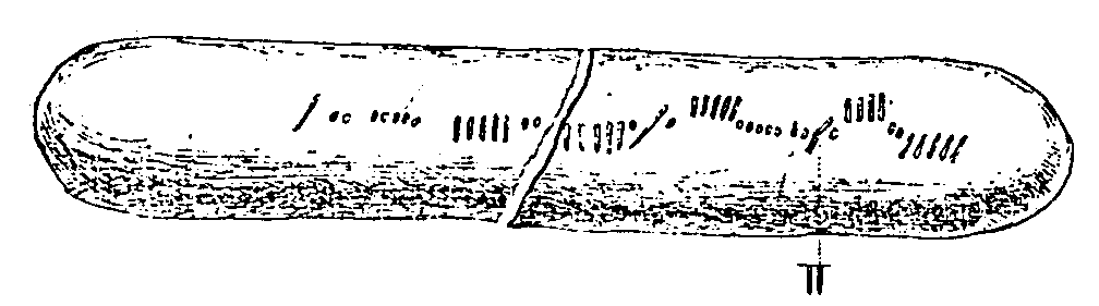 Fig. 147, w02 