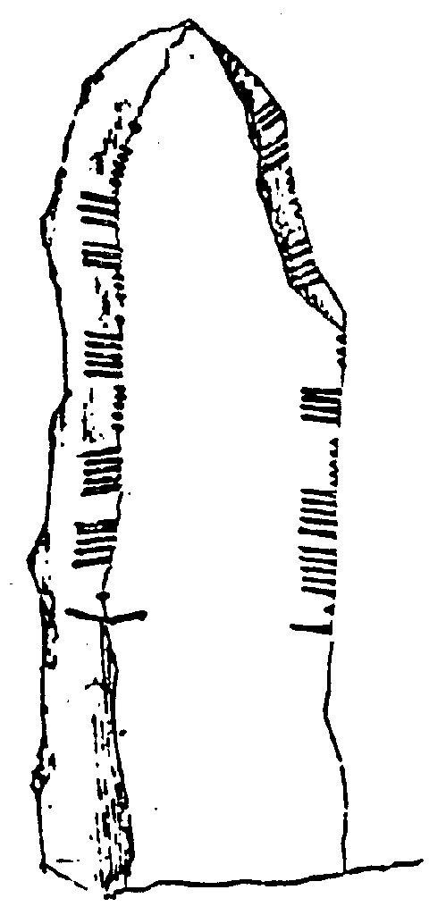 Fig. 149, w01 