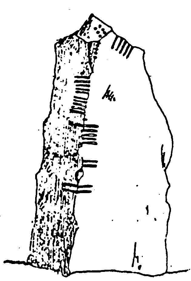 Fig. 152, w01 