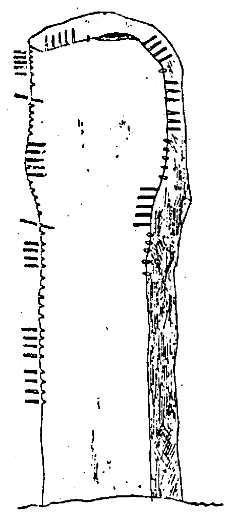 Fig. 153, w01 