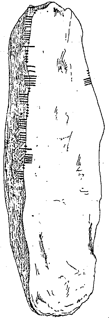 Fig. 154, w01 