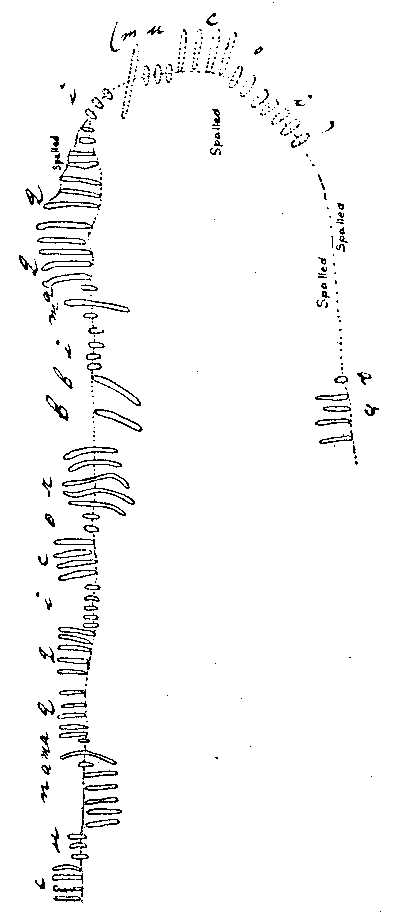 Fig. 154, w02 