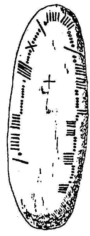 Fig. 156, w01 