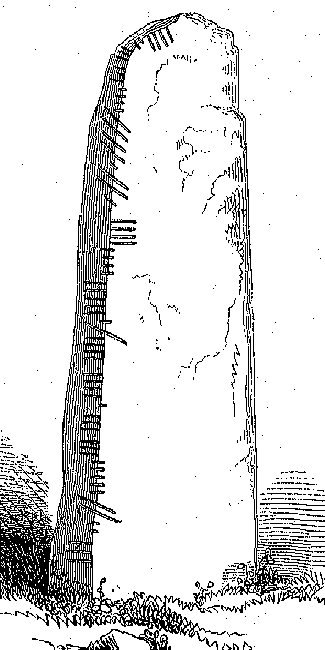 Fig. 172, w01 