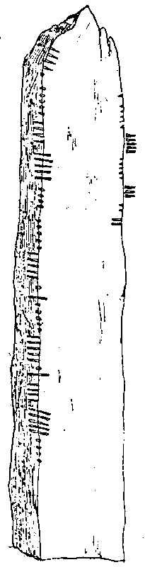 Fig. 178, w01 