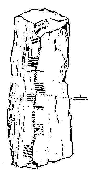 Fig. 192, w01 