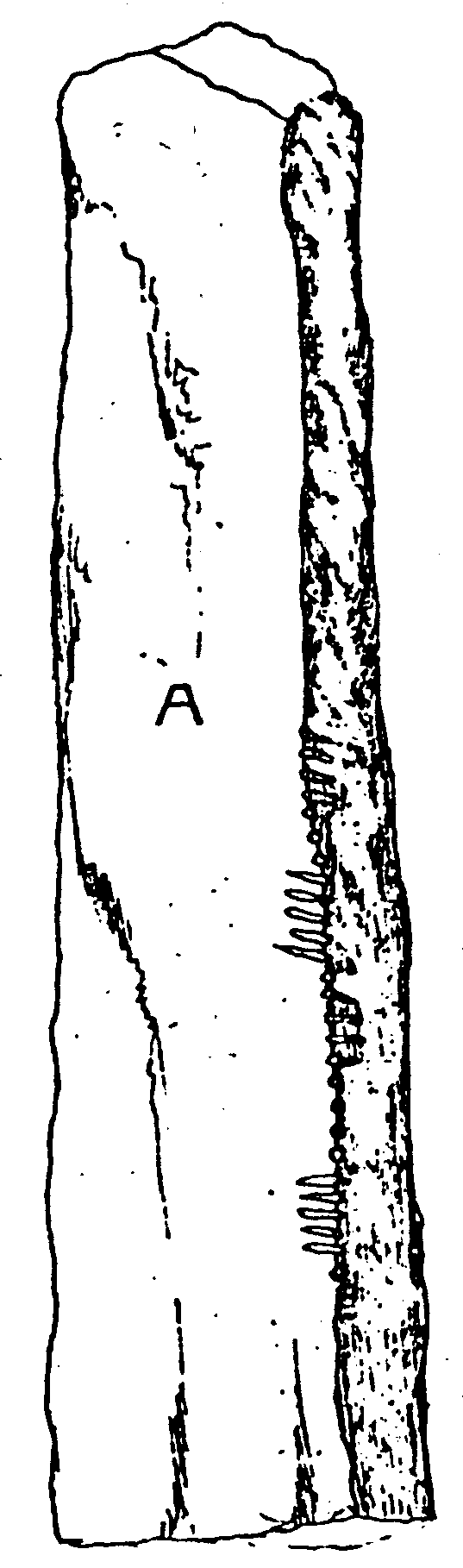 Fig. 199, w01 