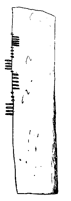 Fig. 199, w02 