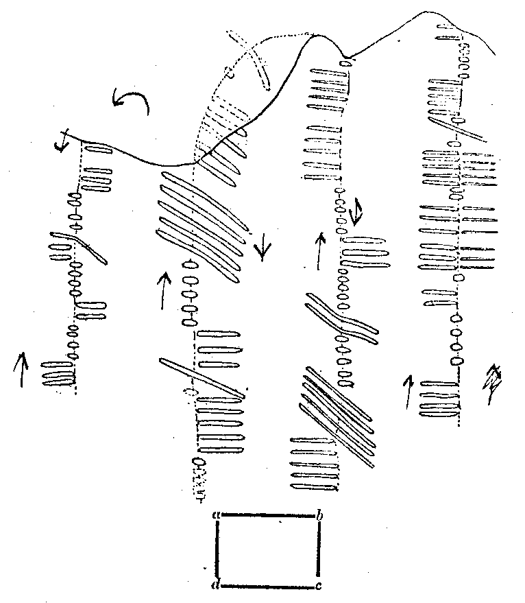 Fig. 206, w01 