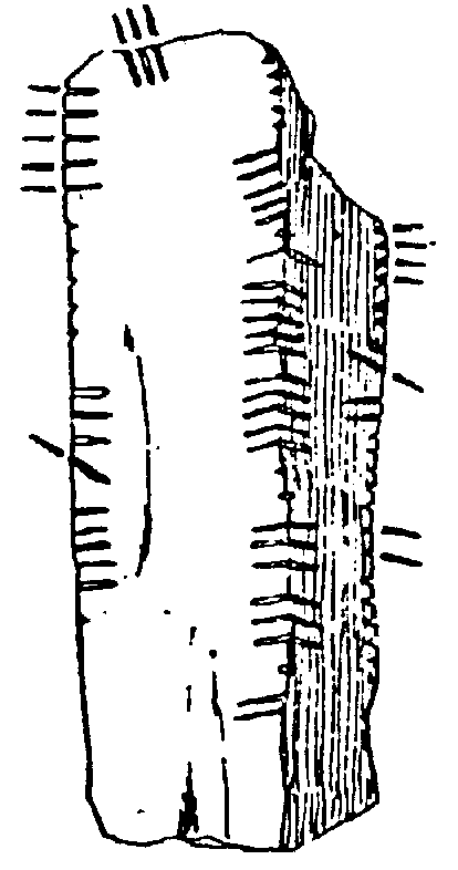Fig. 206, w02 