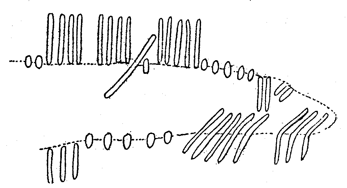 Fig. 207, w01 