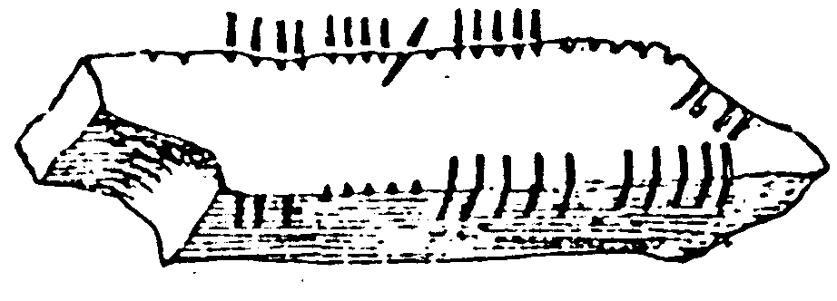 Fig. 207, w02 