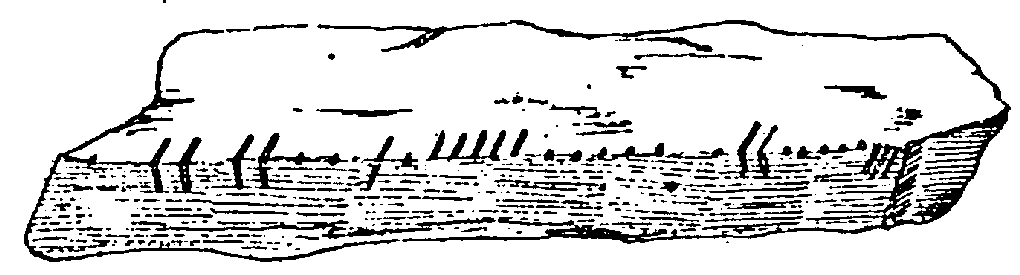 Fig. 209, w02 