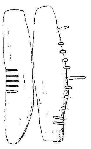 Fig. 210, w02 