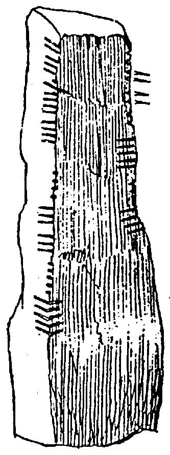 Fig. 211, w03 