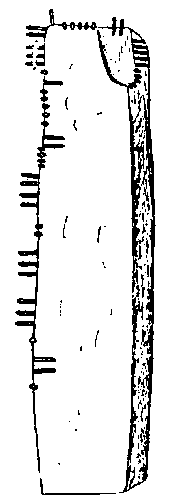 Fig. 215, w01 