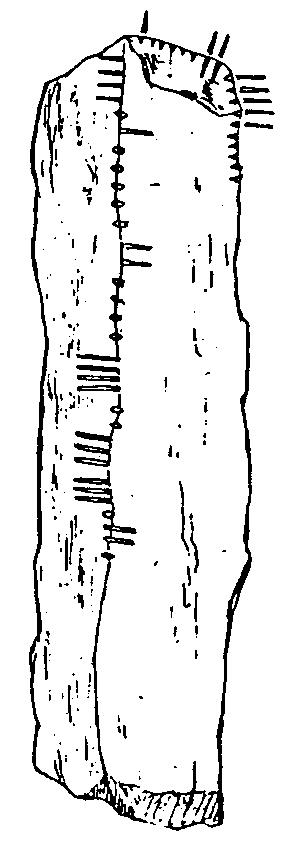 Fig. 215, w02 