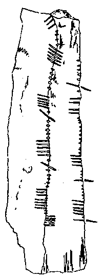 Fig. 217, w03 