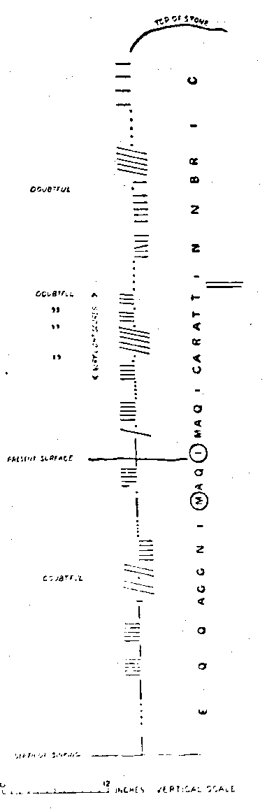 Fig. 230, w01 