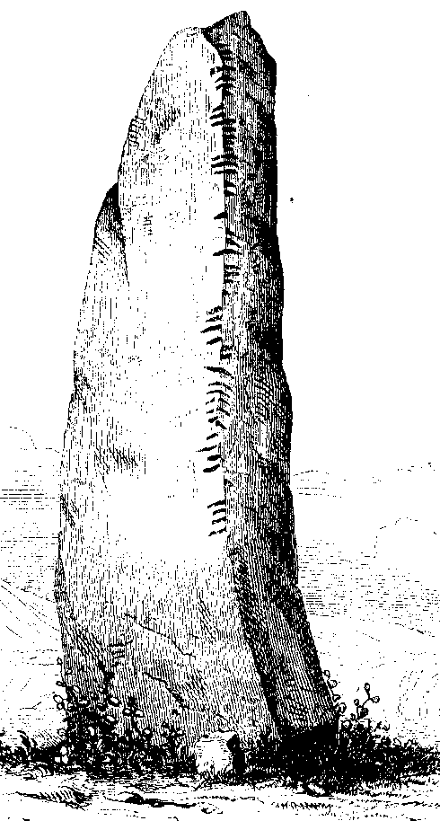 Fig. 303, w01 