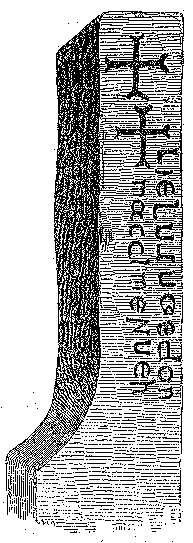 Fig. 001, w01 