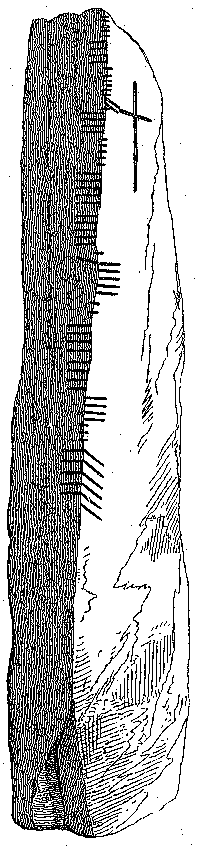 Fig. 180, w01 