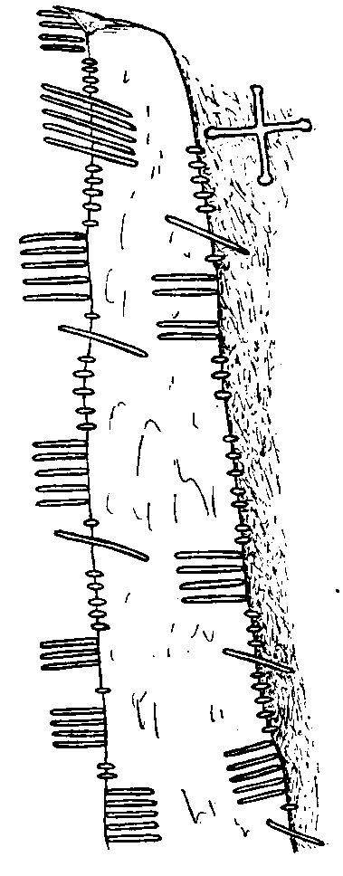 Fig. 217, w01 