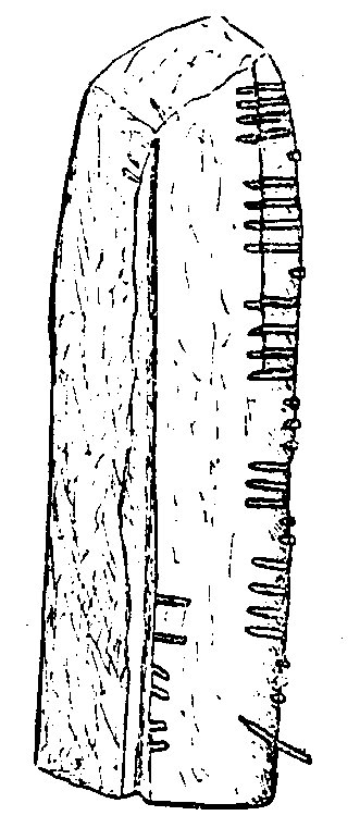 Fig. 218, w01 